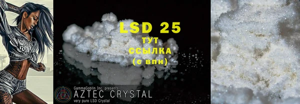 гашик Кулебаки