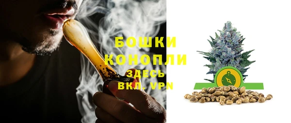 гашик Кулебаки