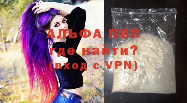 гашик Кулебаки