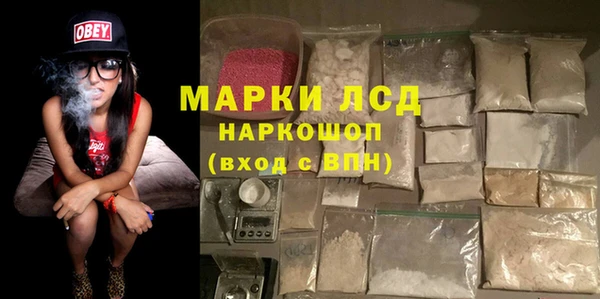 гашик Кулебаки