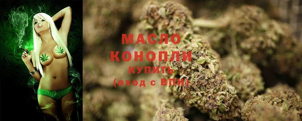 гашик Кулебаки