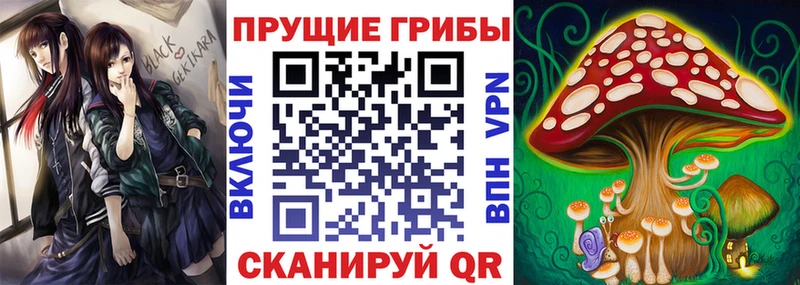 blacksprut онион  закладка  это формула  Псилоцибиновые грибы прущие грибы  Лангепас 
